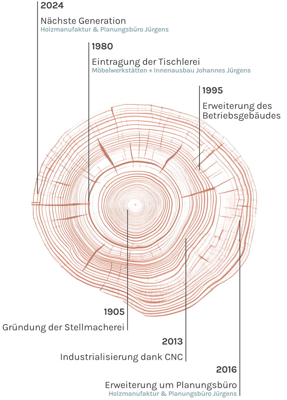 Jahresringe vom Baum verdeutlichen die Historie