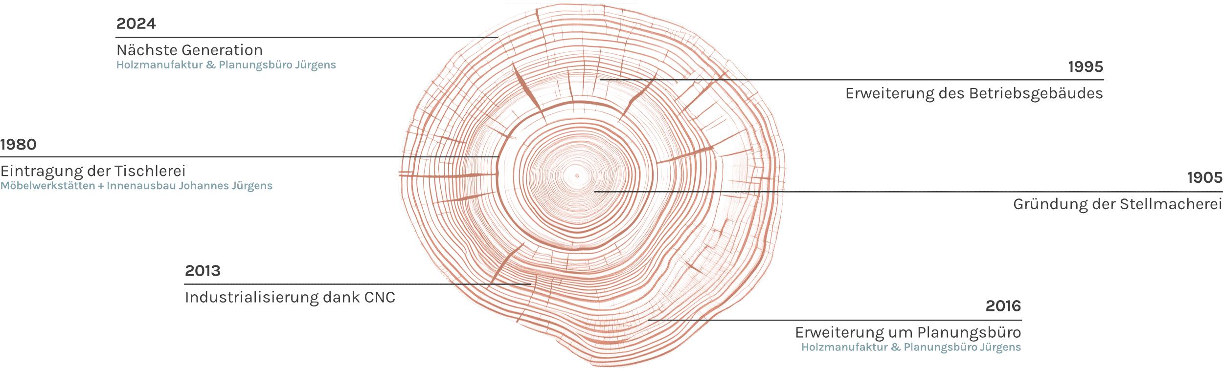Jahresringe vom Baum verdeutlichen die Historie